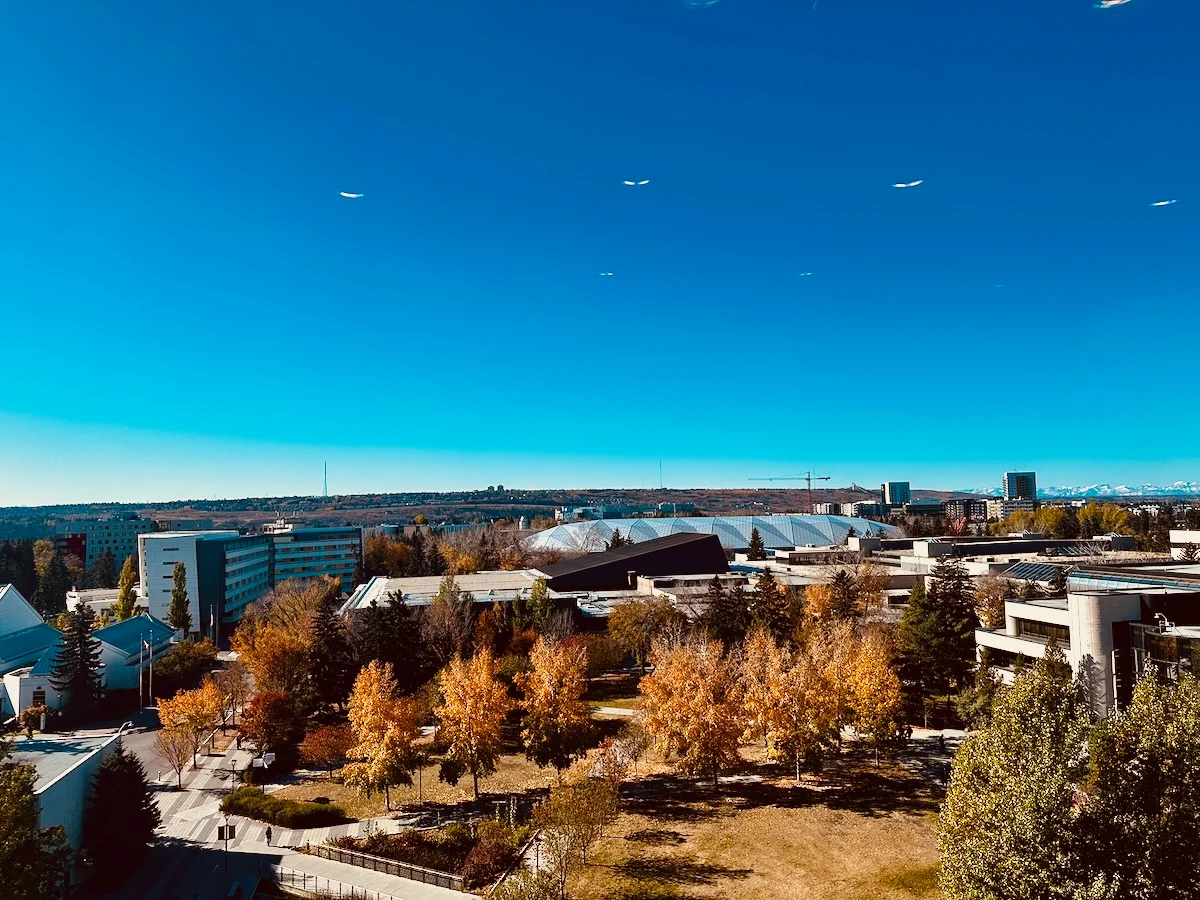 2025-10-14-autumn-campus-from-tfdl.webp