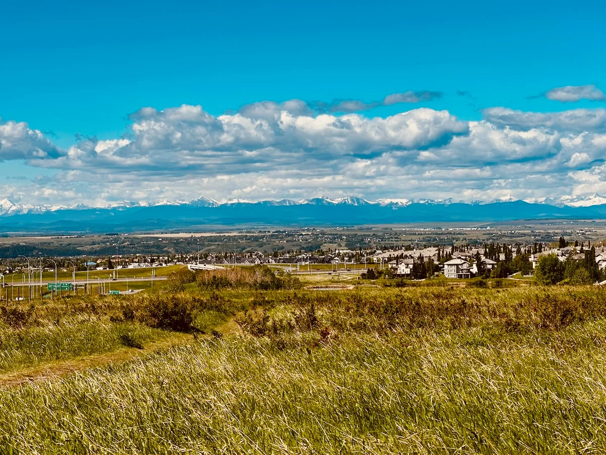 2026-06-06-view-from-the-climb.webp