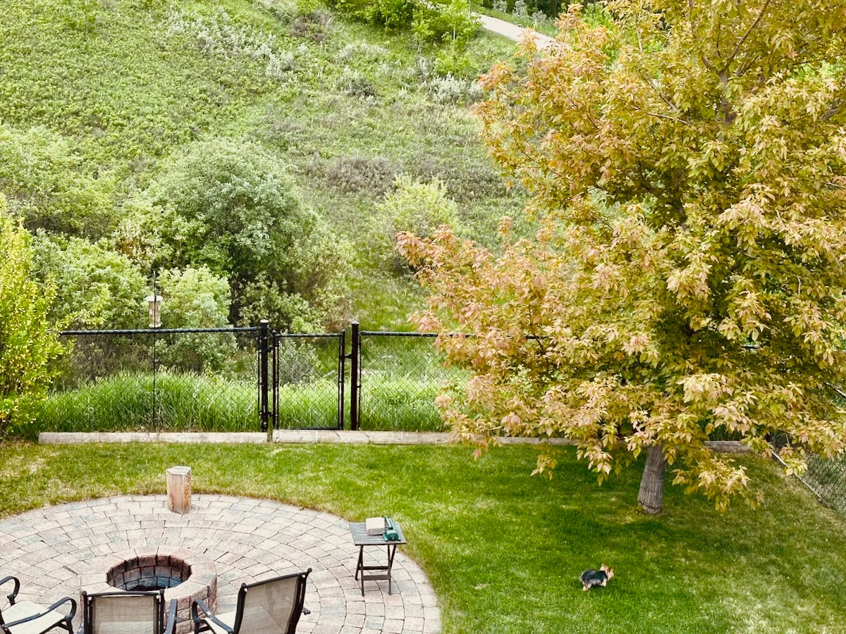 2026-06-07-spring-greens.webp
