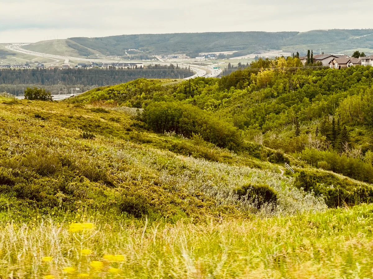 2026-07-14-bow-valley-hill-repeats.webp