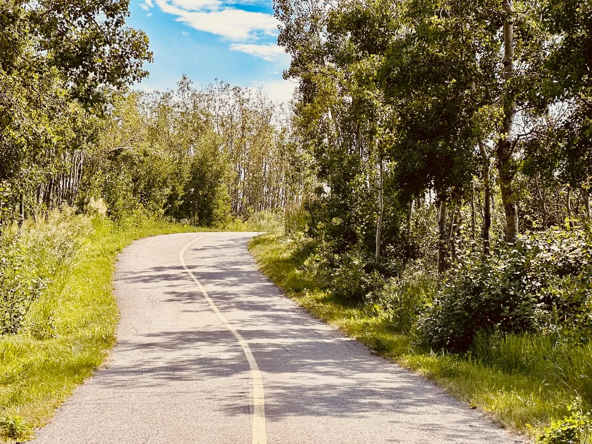 2026-07-15-TUC-pathway.webp