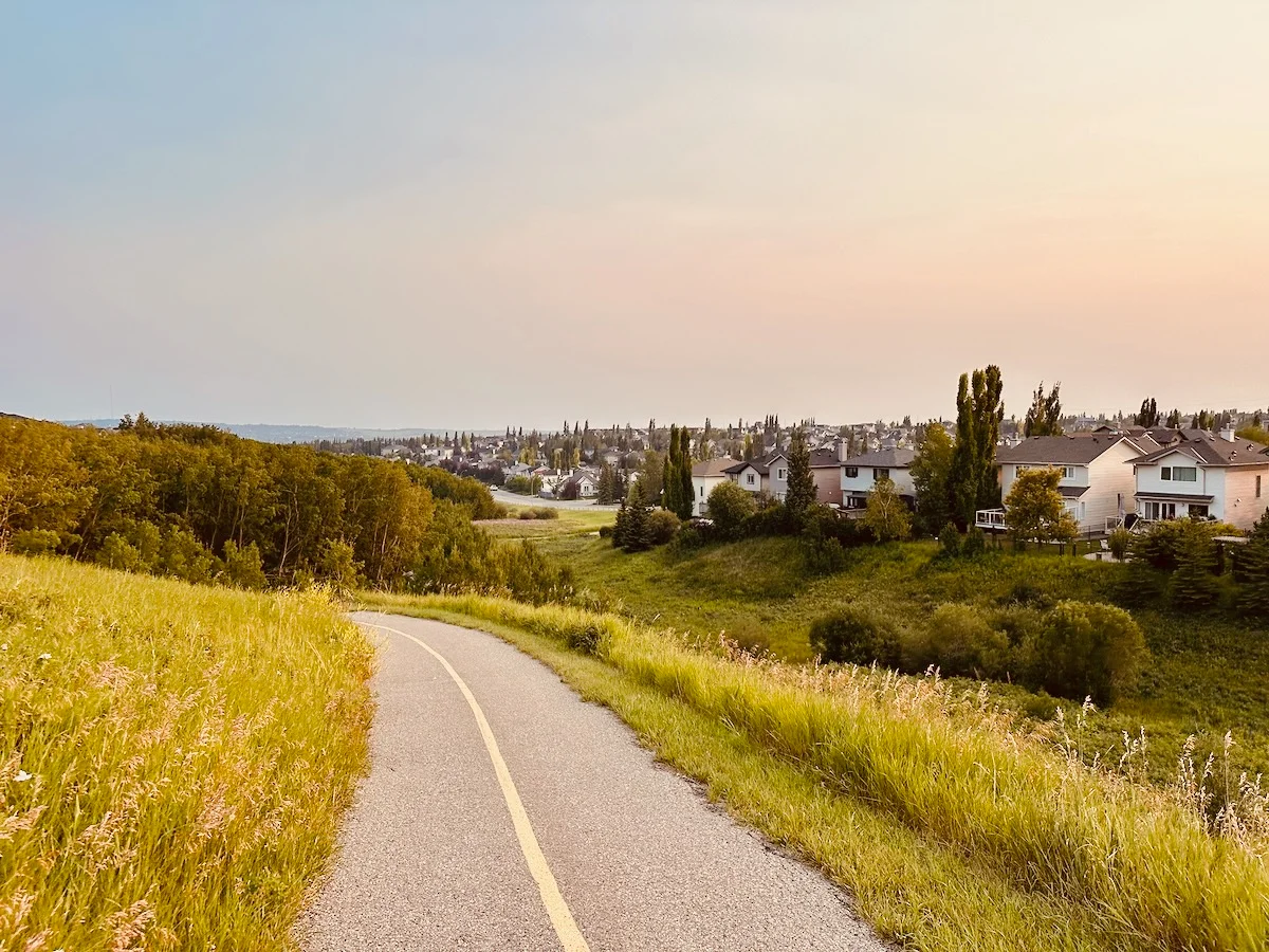 2026-07-22-neighbourhood-walk.webp