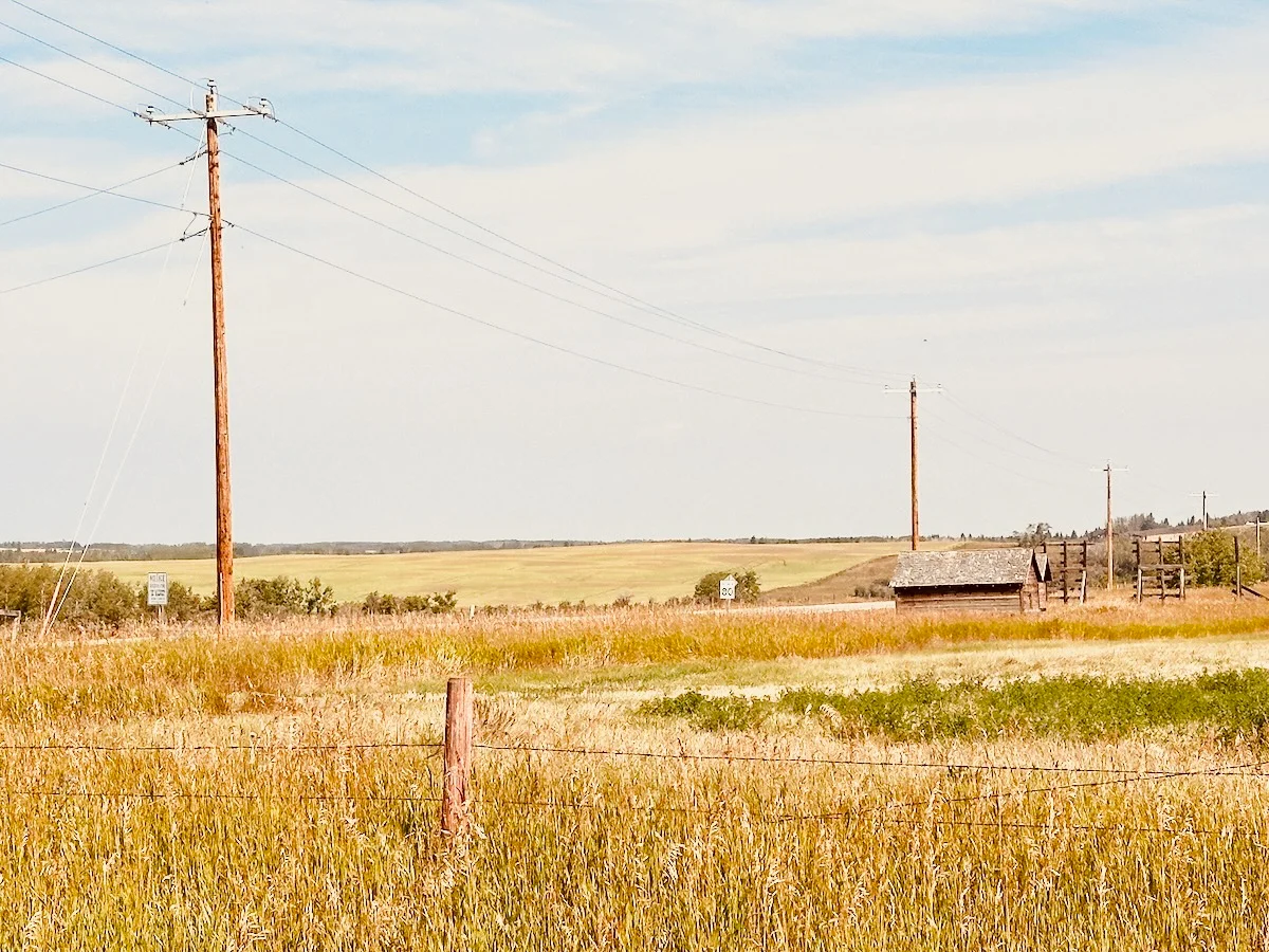 2026-08-29-bearspaw-lines.webp