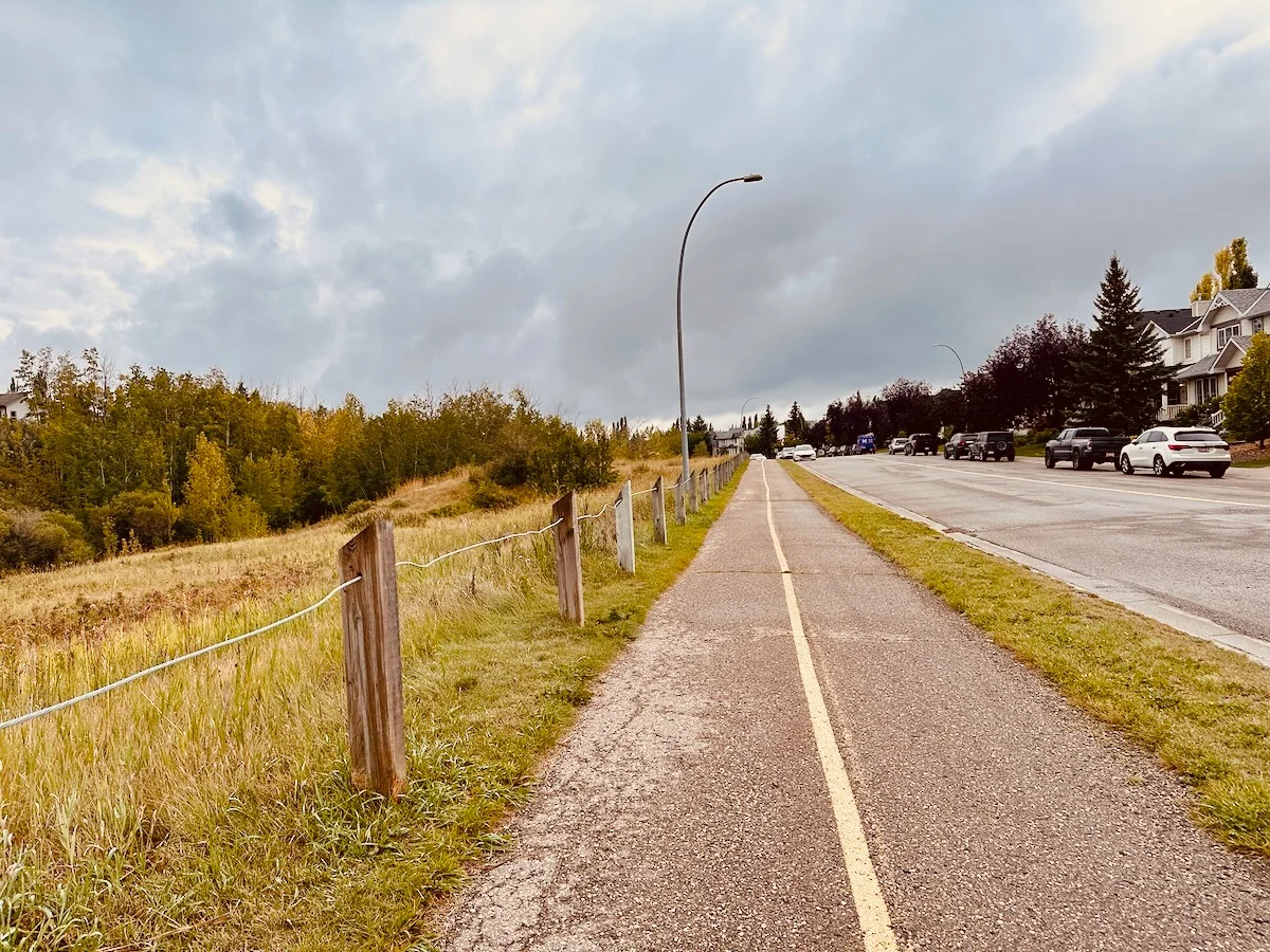 2026-09-06-lazy-sunday-walk.webp