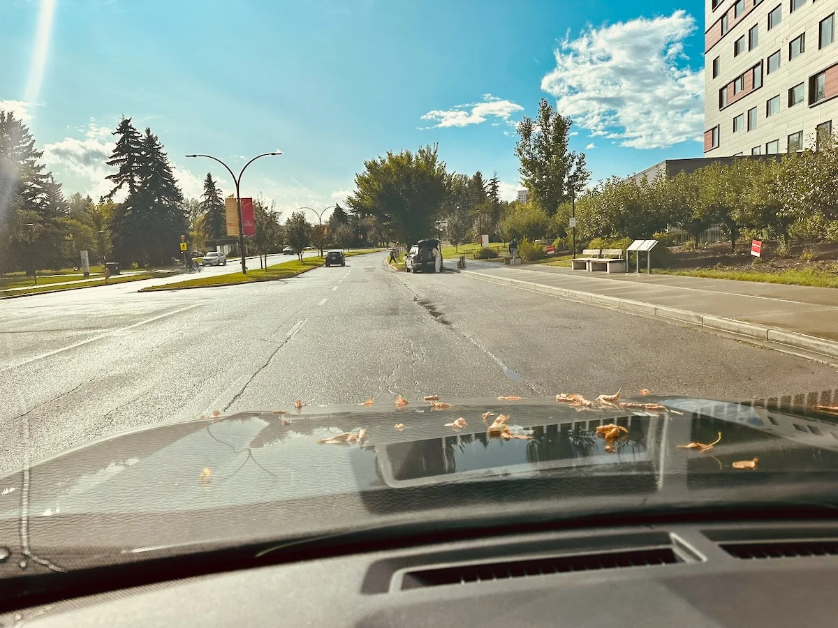 2026-09-10-almost-autumning.webp