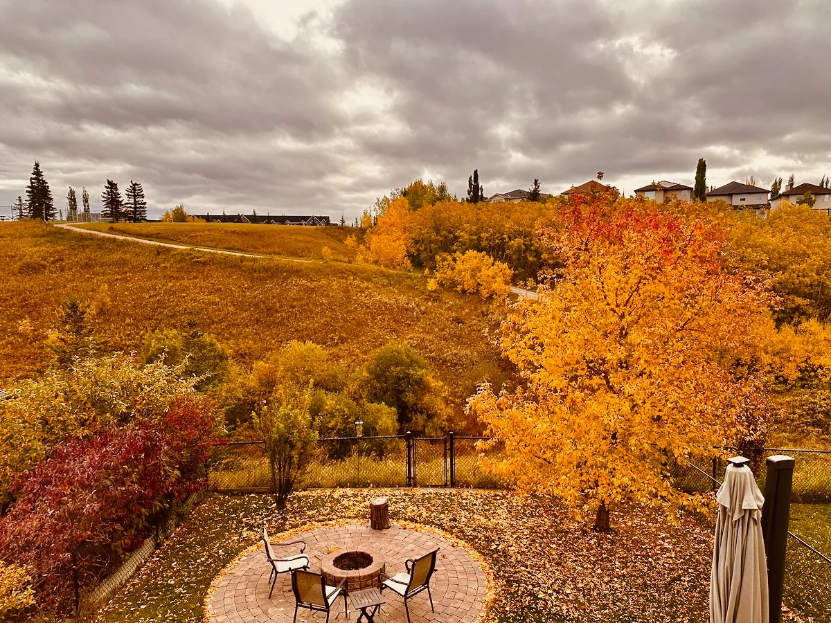2026-09-26-definitely-autumn.webp