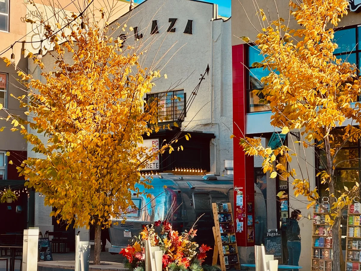 2026-10-17-peekaboo-autumn-plaza.webp